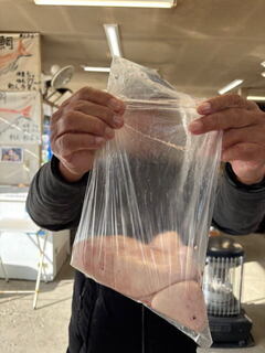 image13.jpeg
