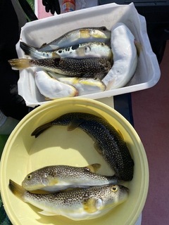 image6.jpeg